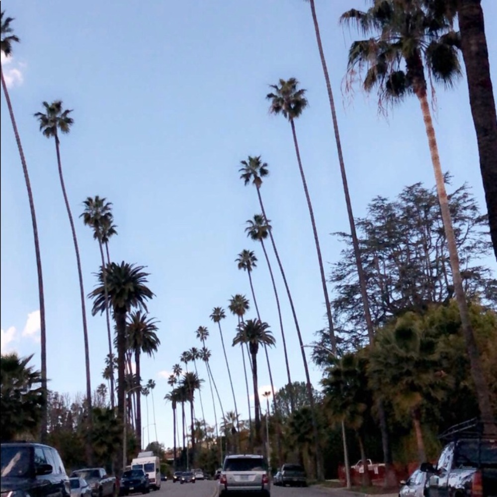 Meet your Posher, Joanna